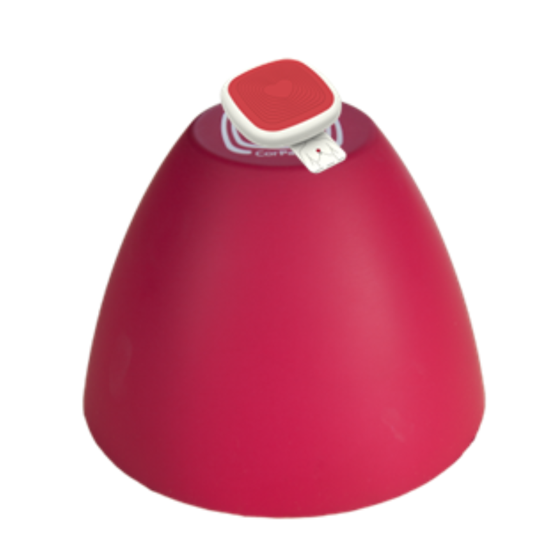 Dispositivo RCP CorPatch Trainer Dispositivo RCP CorPatch Trainer