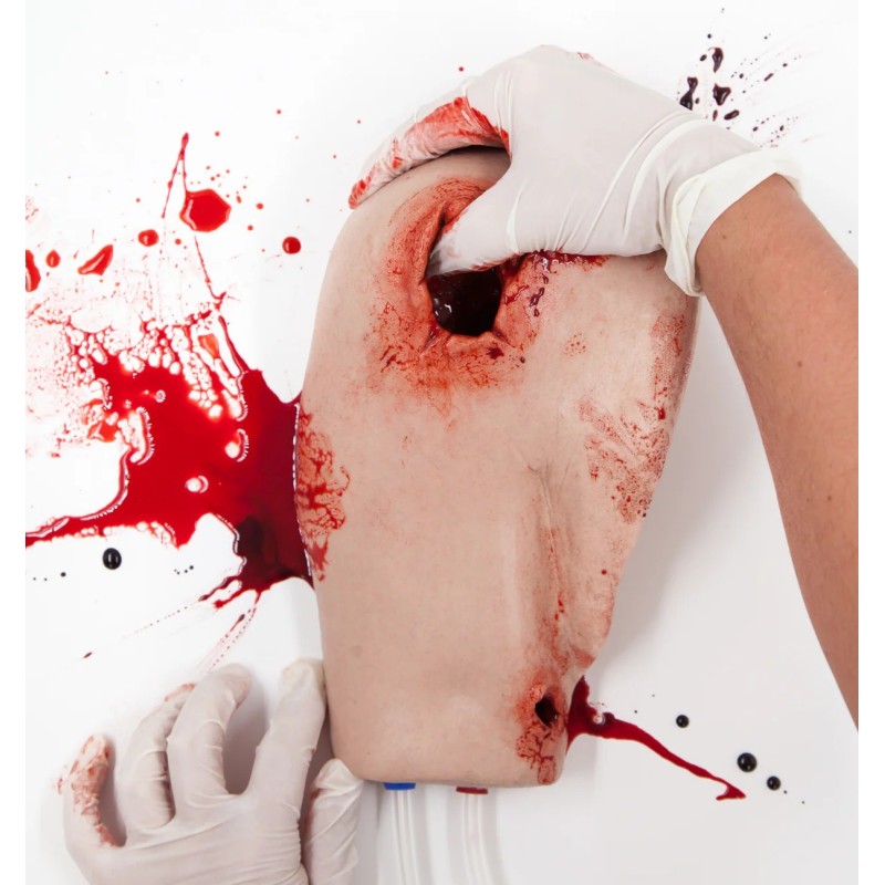 SIM Shoulder | IES Medical Shop